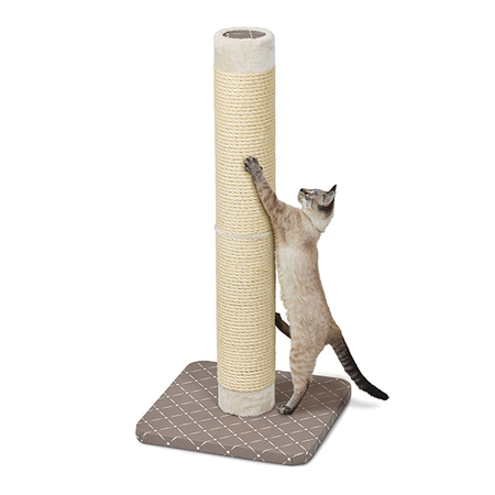 Midwest Cat Scratch Post Forte Mushroom 18X18X41 - Southeast Pet Online ...