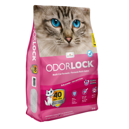 Intersand Odor Lock Cat Litter Baby Powder 13# - Southeast Pet Online ...